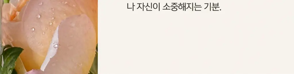 [리얼여름장미향]든향 퍼퓸 디퓨저 생장미 120ml 상세페이지 7